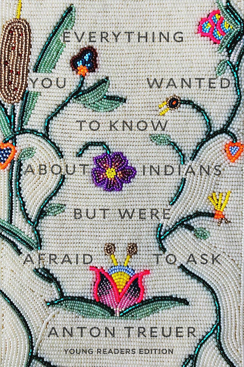 Book cover of Everything You Wanted to Know About Indians But Were Afraid to Ask (Young Readers Edition)