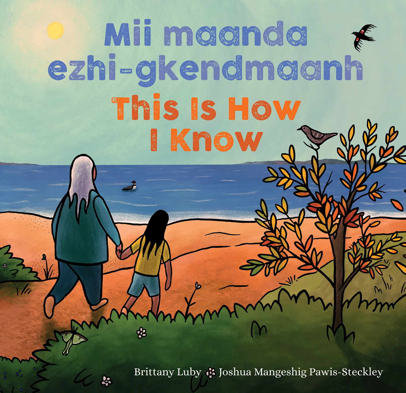 Book cover of Mii maanda ezhi-gkendmaanh / This Is How I Know