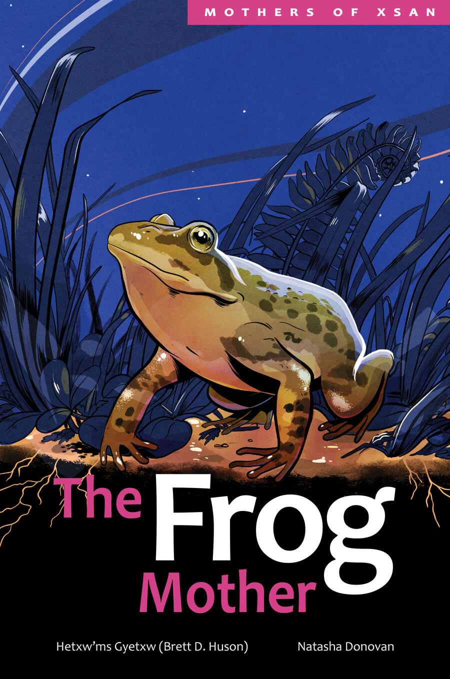 Book cover of The Frog Mother