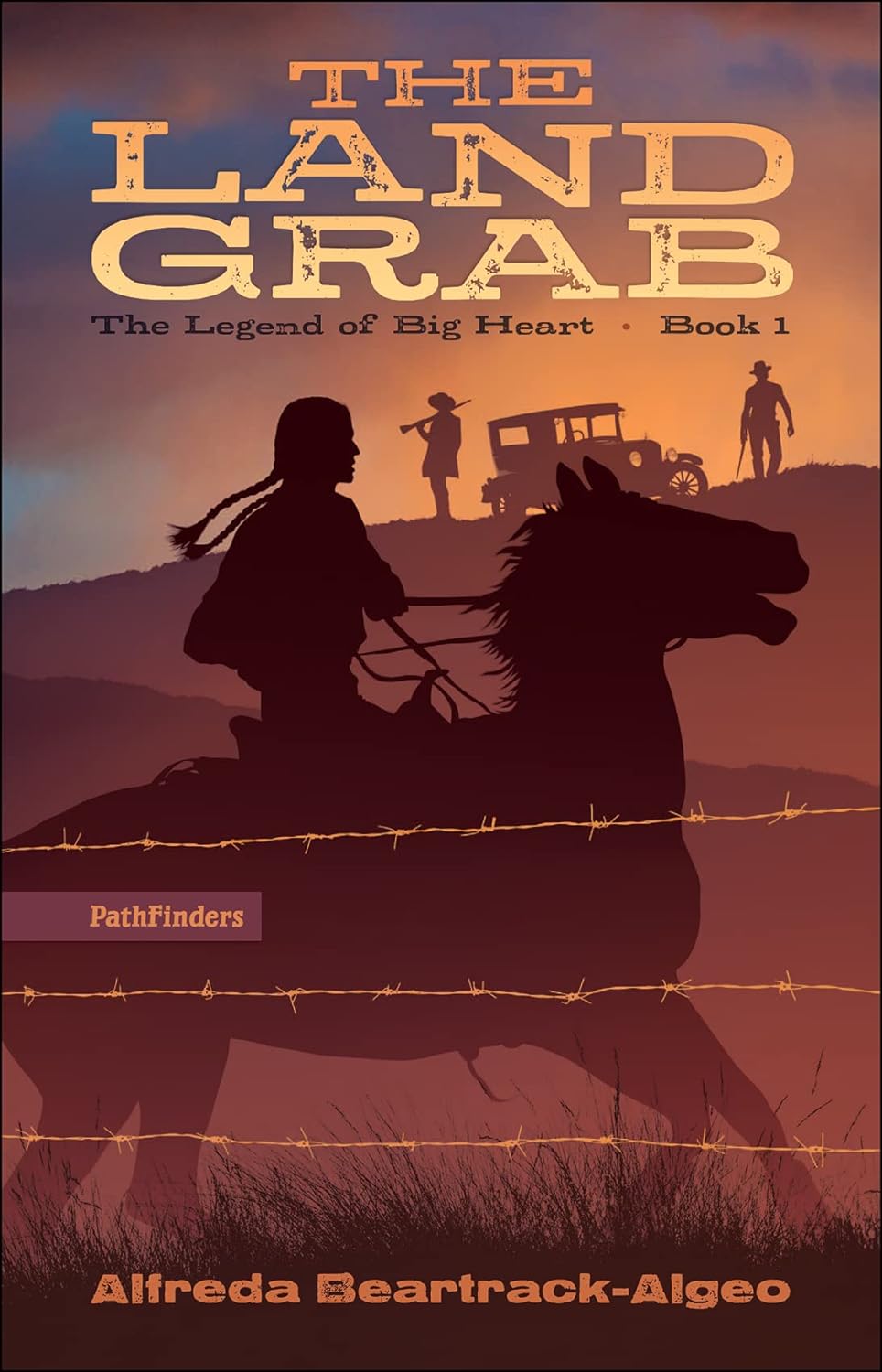 Book cover of The Land Grab