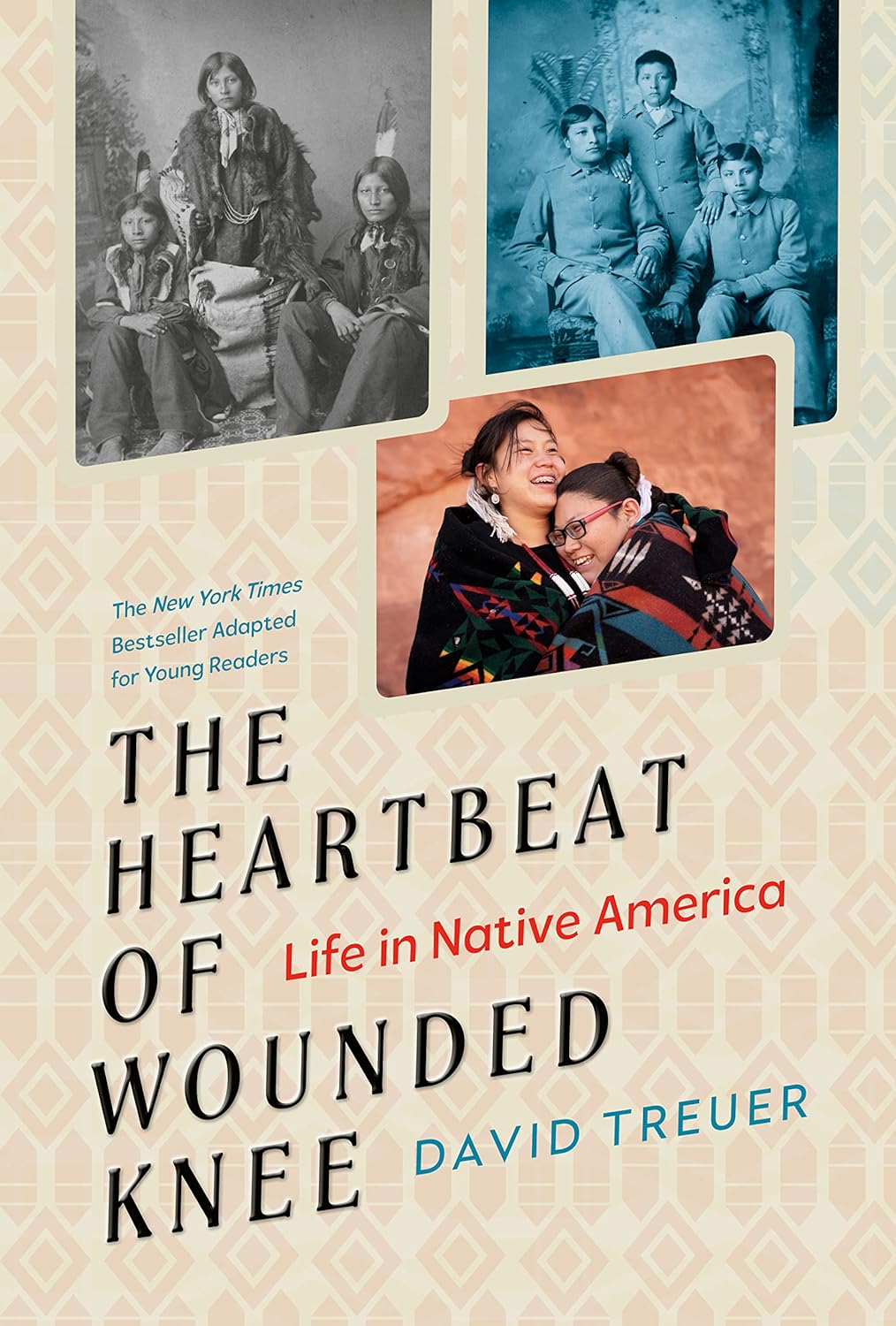 Book cover of The Heartbeat of Wounded Knee